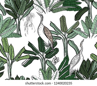 Seamless Pattern Vector Tropics Exotic Jungle Banana Leaves with Crane Birds, Oriental Vintage Hand Drawn Art