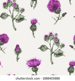 Seamless pattern with vector watercolor thistle. Vintage botanical wallpaper.