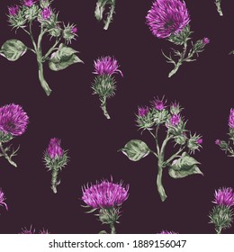 Seamless pattern with vector watercolor thistle. Vintage botanical wallpaper on black background.