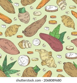 Patrón sin foco con verduras: batat, raíz de taro, raíz de yuca y alcachofa de Jerusalén. Ilustración dibujada a mano por vectores.