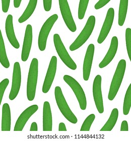 Seamless pattern with vegetables. Green cucumbers on a white background. Vegetable print. Vector illustration