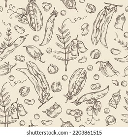 Seamless pattern with vegetables: peas, beans pod, chickpea beans and lentil. Vector hand drawn illustration.