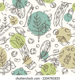 Seamless pattern with vegetables: peas, beans pod, chickpea beans and lentil. Vector hand drawn illustration.