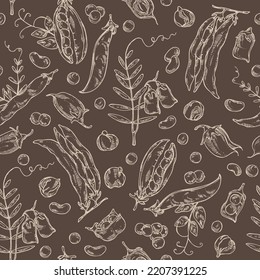 Seamless pattern with vegetables: peas, beans pod, chickpea beans and lentil. Vector hand drawn illustration.