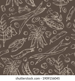 Seamless pattern with vegetables: soybean plant, peas pod, lettil beans and pod, french green beans. Vector hand drawn illustration.