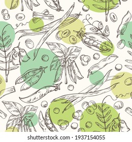 Seamless pattern with vegetables: soybean plant, peas pod, lettil beans and pod, french green beans. Vector hand drawn illustration.