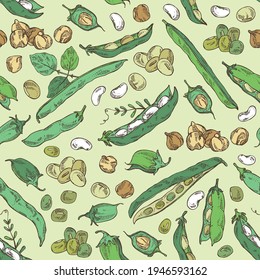 Seamless pattern with vegetables: soybean plant, beans pod, chickpea beans and mung beans. Vector hand drawn illustration.