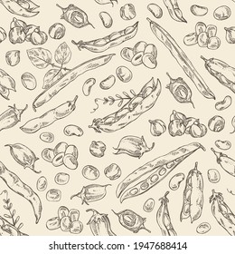 Seamless pattern with vegetables: soybean plant, beans pod, chickpea beans and mung beans. Vector hand drawn illustration.