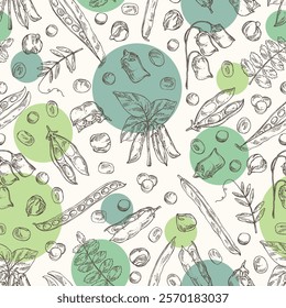 Seamless pattern with vegetables: soybean plant, lentil, chickpea beans and mung beans. Vector hand drawn illustration.