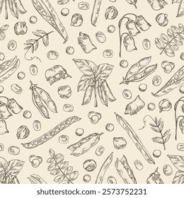 Seamless pattern with vegetables: soybean plant, lentil, chickpea beans and mung beans. Vector hand drawn illustration.