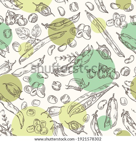 Seamless pattern with vegetables: soybean plant, beans pod, chickpea beans and mung beans. Vector hand drawn illustration.