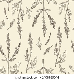 Seamless pattern with verbena: verbena flowering branch and leaves. Cosmetic and medical plant. Vector hand drawn illustration