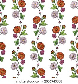 Seamless pattern with a vertical ornament of bouquets and flowers of calendula, daisy, chamomile, clover. 