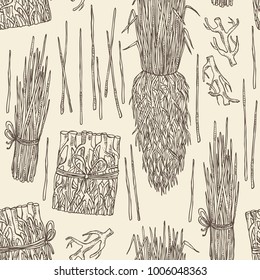 Seamless pattern with vetiver: root and plant of vetiver. Perfumery and cosmetics plant. Vector hand drawn illustration.