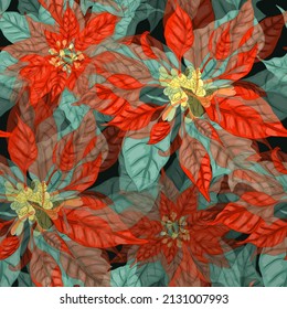 Seamless pattern with vibrant Poinsettias