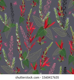 Seamless pattern with vibrant red sage flowers, buds and leaves. Elements of plants and their contours are arranged randomly. Vector image on a dark background.