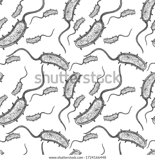 Seamless Pattern Vibrio Cholera Vector Illustration Stock Vector ...