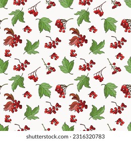 Seamless pattern with viburnum berries. Design for fabric, textile, wallpaper, packaging.	
