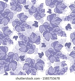 Seamless pattern vine grapes in purple