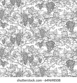 Seamless pattern with vine. Hand drawn vector illustration of grapes. Retro style.