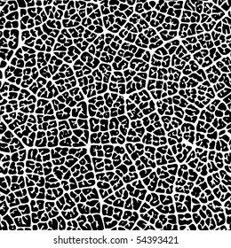 Seamless Pattern Of Vine Leaf Texture. Color Can Be Change By Two Key Colors.