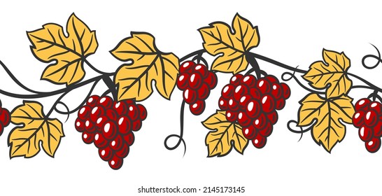 Seamless pattern of vine with leaves and bunches of grapes. Winery image for restaurants and bars.