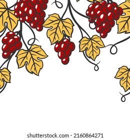 Seamless pattern of vine with leaves and bunches of grapes. Winery image for restaurants and bars.