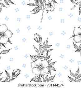 Seamless pattern. Vintage botanical illustration flower. Flower concept. Botanica concept. Vector design.
