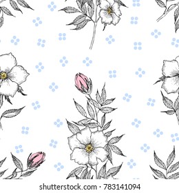 Seamless pattern. Vintage botanical illustration flower. Flower concept. Botanica concept. Vector design.