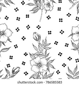 Seamless pattern. Vintage botanical illustration flower. Flower concept. Botanica concept. Vector design.