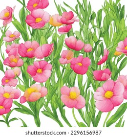 Seamless pattern vintage buttercup flowers watercolor botanic art illustration