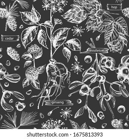 Seamless pattern with vintage hand drawn sketch medicine herbs elements isolated on black chalk board background Cedar, mistletoe, hop, physalis, ashwagandha, ginseng. Vector illustration