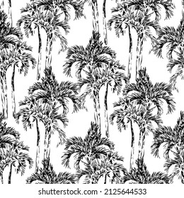 Seamless pattern vintage hand drawn illustration with palm tree in engraving style. Sketch of a tree isolated on white background.