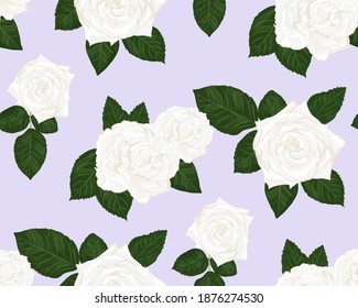 Seamless pattern of vintage white roses and leaves on purple background. Vector illustration