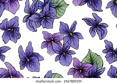 Seamless pattern of viola odorata flowers, vector, color