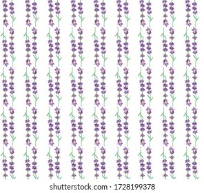 Seamless pattern of violet lavender. Fragrant lavender. Beautiful violet flowers. Surface design. 3d realistic vector illustration