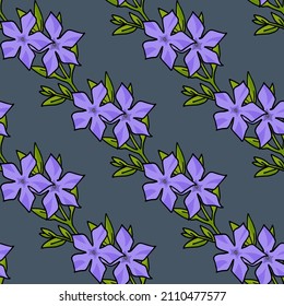 Seamless pattern with violet periwinkle on gray background. Spring flowers. Doodle style. Vector image.

