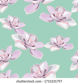 Seamless pattern with violet succulents, mint background. Elegant tender design. Can be used as greeting, wedding background. Best for fabric. Flowers texture.