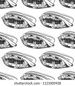 seamless pattern Volutidae, common name volutes, are a taxonomic family of predatory sea snails Unique shells, molluscs. Sketch black contour on white background. Vector