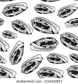 seamless pattern Volutidae, common name volutes, are a taxonomic family of predatory sea snails Unique shells, molluscs. Sketch black contour on white background. Vector