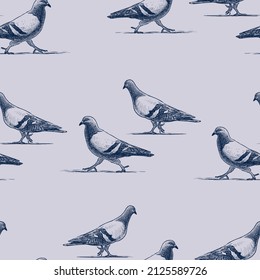 Seamless pattern of walking grey pigeons sketches