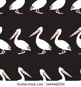 Seamless pattern of walking pelicans sketches
