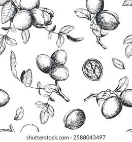 Seamless pattern of walnut branches. Vector background with kernels, leaves and nut skin. Engraving style illustration. Design for packaging, wallpaper, kitchen textile. Hand drawn ink sketch.