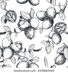 Seamless pattern of walnut branches. Vector background with kernels, leaves and nut skin. Engraving style illustration. Design for packaging, wallpaper, kitchen textile. Hand drawn ink sketch.