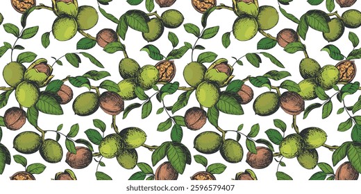 Seamless pattern of walnut branches. Vector background with kernels, leaves and nut skin. Illustration in color engraving style. Design for wallpaper, packaging, textile. Hand drawn ink sketch.