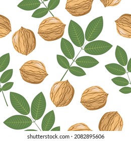 Seamless pattern of walnut leaves and the walnut itself on a white background.Vector walnut pattern can be used in textiles,packaging,wallpaper, postcards, banners.