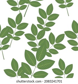 Seamless pattern of walnut tree leaves on a white background.The vector pattern can be used in textiles, wallpaper,packaging.