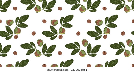 Patrón sin foco con nueces y hojas verdes. Ilustración del vector