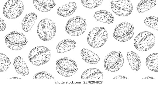 Seamless pattern with walnuts. Sketch style whole walnut. Black and white vintage background with nuts