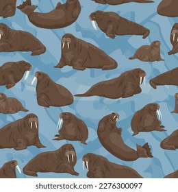 Seamless pattern with walrus in different poses. Males, females and cubs of walruses lie, sit and swim. realistic vector animal